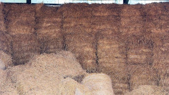 [农业废弃物]农业废弃物变“金色资源” 江苏邳州：推进“无废城市”建设