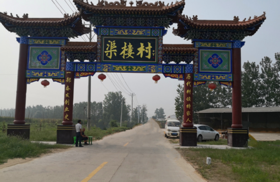 『渠楼村』美丽乡村焕新颜 江苏丰县渠楼村：能人返乡展身手