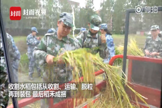 河北衡水中学|开学季：“别人家”的军训 VS “我们家”的军训