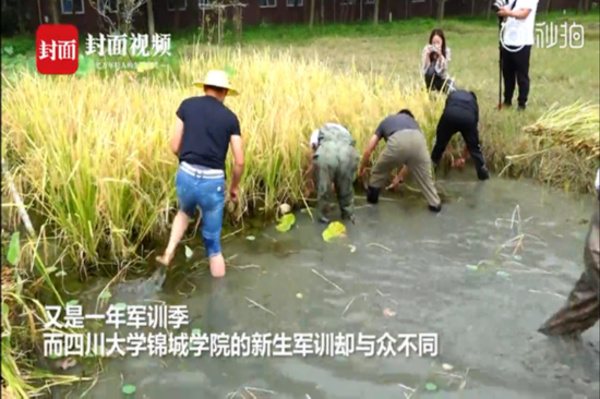 河北衡水中学|开学季：“别人家”的军训 VS “我们家”的军训