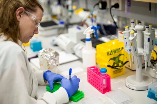 这张2020年4月1日拍摄的照片显示，科研人员在位于澳大利亚布里斯班的昆士兰大学实验室进行疫苗研制工作。新华社发（昆士兰大学供图）