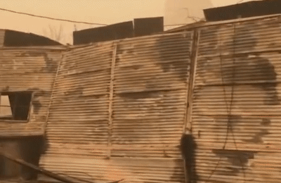 山火|16个纽约烧没了!美国山火中“仅剩的湿气是人的眼泪”