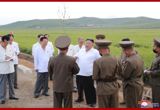 金正恩|金正恩视察朝鲜黄海北道灾后重建区