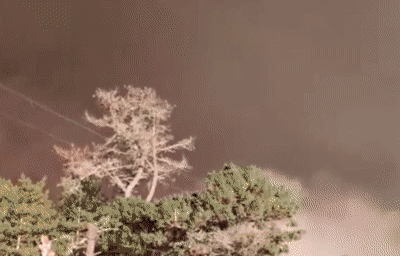 山火|16个纽约烧没了!美国山火中“仅剩的湿气是人的眼泪”