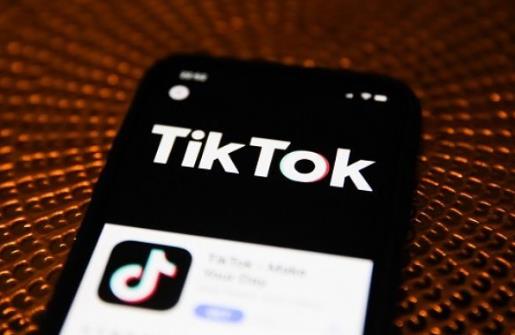 TikTok|TikTok员工起诉美政府获初步进展:员工工资将不受行政令影响