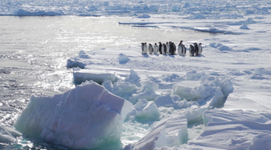 全球海洋|联合国世界气象组织：全球海洋在持续升温
