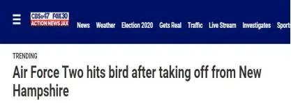 空军二号|突发！美国“空军二号”撞了一只鸟
