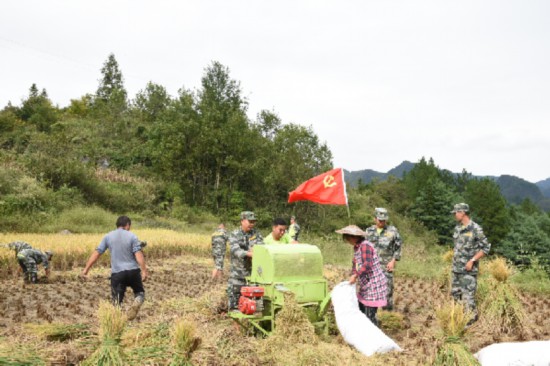 苗乡|贵州福泉：迷彩绿勾勒出苗乡最美秋收画卷