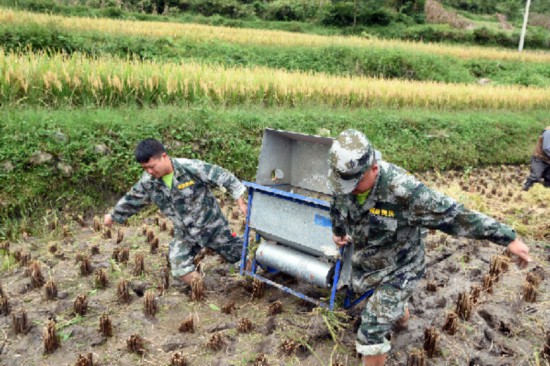 苗乡|贵州福泉：迷彩绿勾勒出苗乡最美秋收画卷