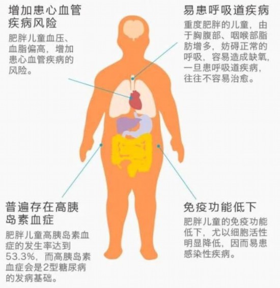 比中年发福危害更大的儿童肥胖，家长千万要重视！