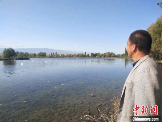 马顺国和其他几位村民自发组成了护鹅队，每天至少4次来查看天鹅迁徙数量，还会根据天气情况给天鹅补饲。伊宁县委宣传部供图