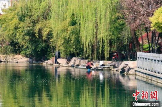 八一村。　富阳区委宣传部供图 摄