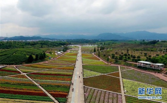 10月7日，游客从浙江省金华市武义县大斗山飞行营地坐三角翼到花田小镇赏花（无人机照片）。新华社发（张建成 摄）