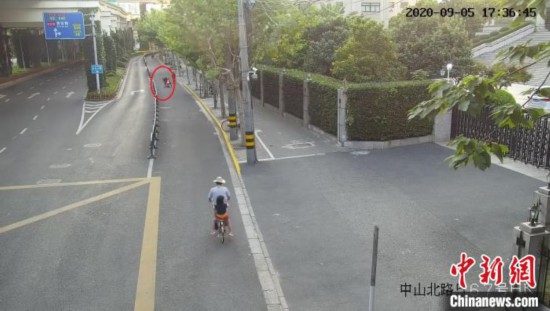 &ldquo;子承父业&rdquo;在马路上撒刀片上海一犯罪嫌疑人被批捕