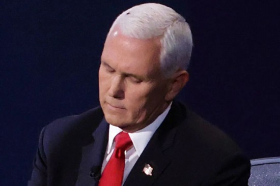 彭斯|副总统候选人电视辩论时被苍蝇“抢镜”,彭斯回应