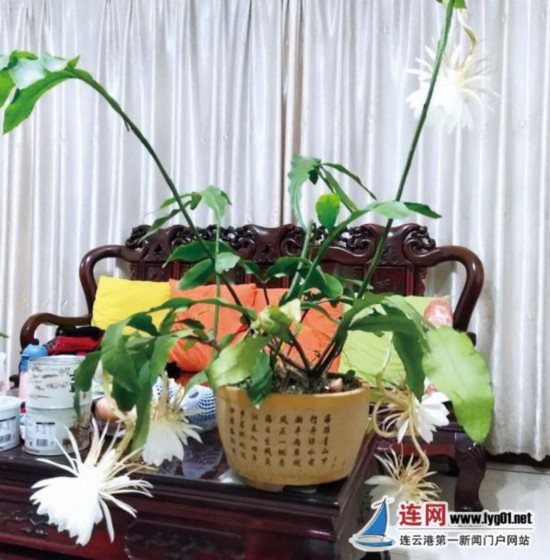 TIM截图20201014093947