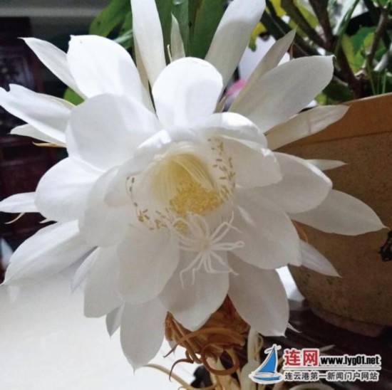 TIM截图20201014093957
