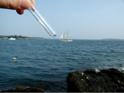 科学家找到了噬食病毒的生物