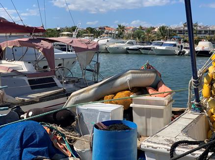 土耳其|危险重重！探访土耳其难民偷渡之路