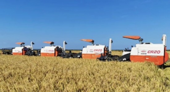 农业合作|世界粮食日:中非农业合作不只是粮食援助