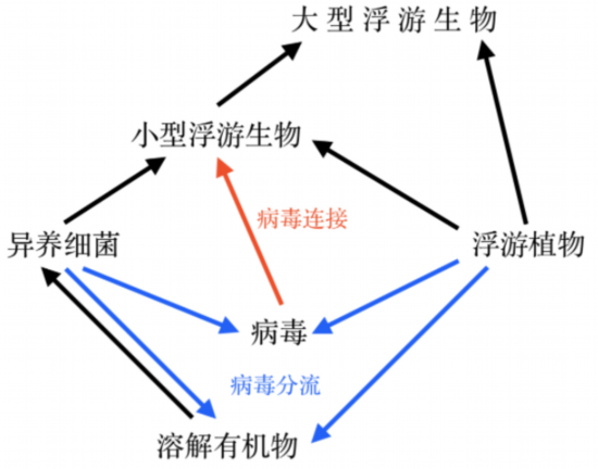科学家找到了噬食病毒的生物