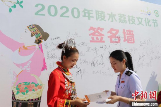 “走网路”代替“走马路”海南税务网上申报率达98%以上