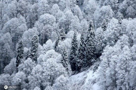 俄罗斯索契高加索山脉冬日银装素裹 宛如童话仙境