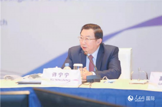 中国—东盟商务理事会理事长许宁宁在RCEP与广州发展圆桌会议上发言。中国—东盟商务理事会供图