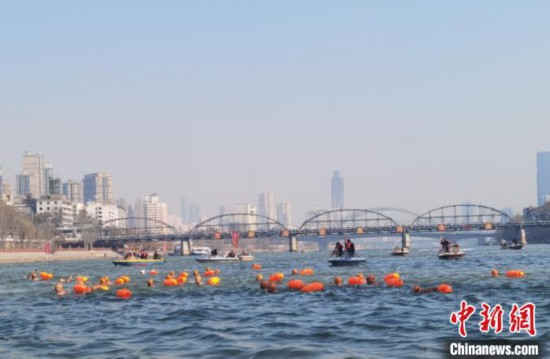 图为冬泳健儿进行“横渡黄河”冬泳表演共庆新年。 崔琳 摄