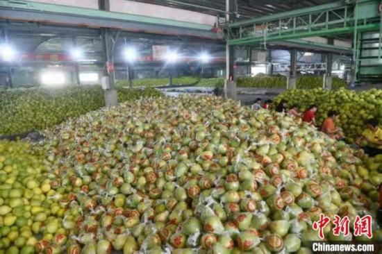 广东&ldquo;万企帮万村&rdquo;累计帮扶资金逾131亿元