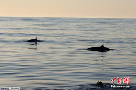 海表温度|国际最新研究：全球海表温度过去1.2万年一直上升