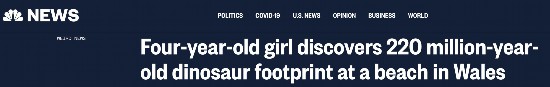 脚印|“重大发现”?外媒:英国四岁女孩发现2.2亿年前恐龙脚印