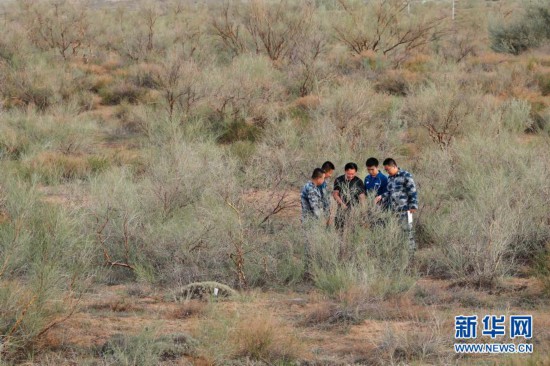 播种量|铁翼为犁　播种春天——空军某运输搜救团一大队飞播造林39年记事