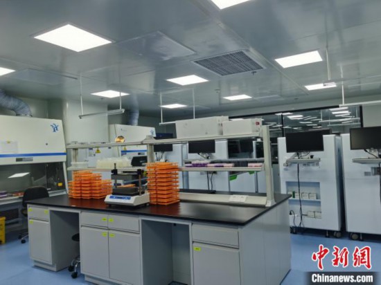 中山大学附属第八医院核酸检测实验室内部设备。　郑小红 摄