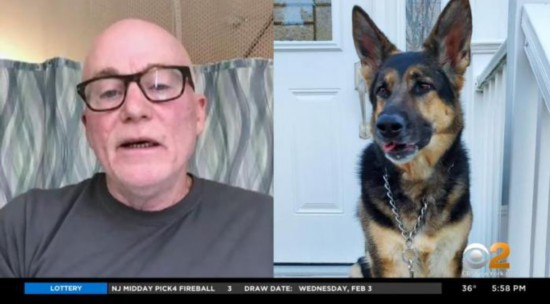 萨迪|神犬报恩！主人中风倒地 德国牧羊犬成功救命(图)