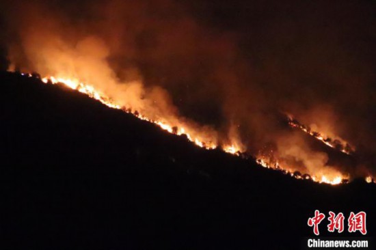 图为森林火灾扑救现场。福建省森林消防供图