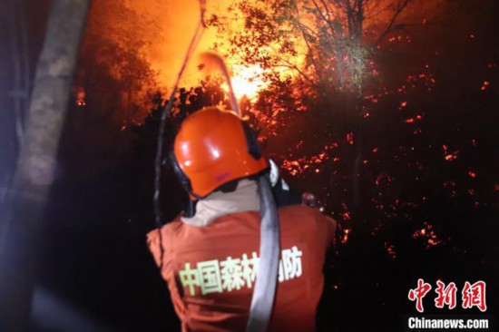 图为森林火灾扑救现场。福建省森林消防供图