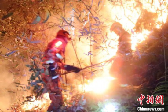 图为森林火灾扑救现场。福建省森林消防供图