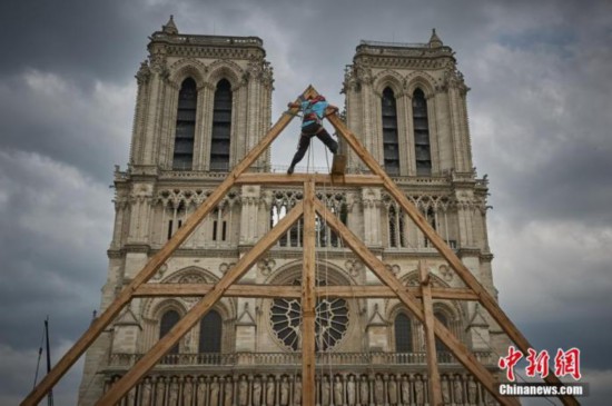 巴黎圣母院|为重建巴黎圣母院塔尖 法国全力搜寻百年橡树