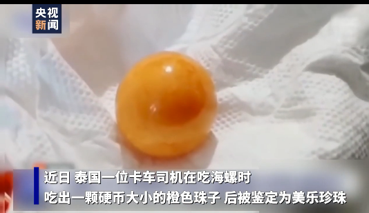 海螺|价值百万!泰国司机海螺里吃出龙珠