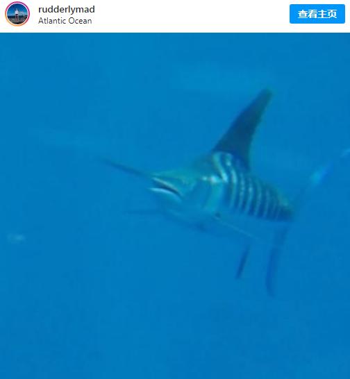 划艇|用时70天！21岁英国女子划艇横渡大西洋创纪录