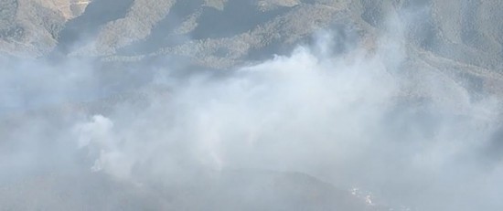 森林火灾|日本枥木县发生森林火灾 焚烧四日仍未扑灭