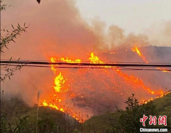 浙江今年已立案侦查森林火灾案件33起