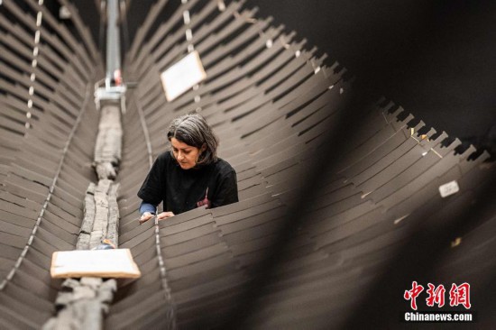 毅力号|丹麦将展出1025年船舶残骸 系现存”最大”维京时代船只