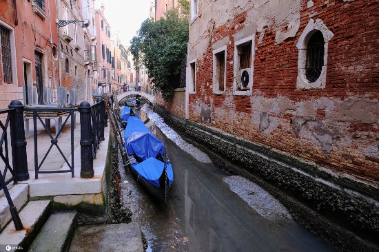 河道|意大利水城威尼斯遭遇罕见“低潮”，河道干涸、贡多拉船搁浅