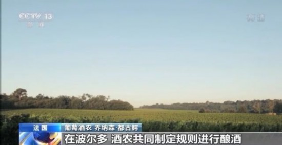 法国红酒|《中欧地理标志协定》生效 法国波尔多酒农：是对彼此文化的认同