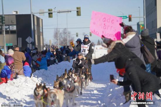 雪橇犬|美知名狗拉雪橇大赛登场 47组队伍将跋涉约1300公里