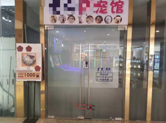 &uarr;&ldquo;共享猫咪&rdquo;的商店