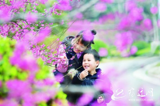 （全媒体）&ldquo;梅&rdquo;好时光(1320029)-20210308091742