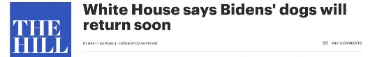 拜登|拜登牧羊犬因咬人要被安乐死？白宫发言人回应